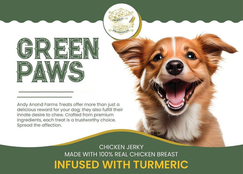 Premium Chicken Breast Jerky for Dogs, Single Ingredient Treat, Infused with Turmeric, 16 Ounces