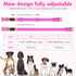 LED Dog Collar Light - USB Rechargeable, Adjustable Size, Heavy Duty Glow Safety Collar for Medium Dogs