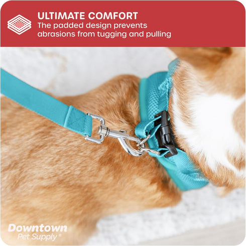 Downtown Pet Supply Light Blue Step in Dog Harness for Small Dogs - Adjustable No Pull Buckle Strap with Padded Mesh