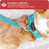 Downtown Pet Supply Light Blue Step in Dog Harness for Small Dogs - Adjustable No Pull Buckle Strap with Padded Mesh