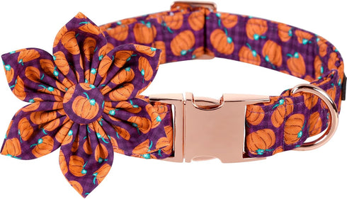 Lionet Paws Adjustable Comfortable Dog Collar with Flower, Halloween Flower Collar for Small Medium Large Dogs
