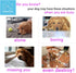 Tug of War Dog Toy for Small Breeds, 4-Pack Rope with Ball Attached for Interactive Play, Puppy Gift