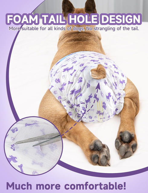 (50Count, MICOOYO Disposable Dog Diapers Female, Doggie Diapers for Dogs Female, Super Absorbent Pet Diaper with Foam