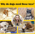 Dog Rope Toy, 20 Pack for Fun and Teeth Cleaning for Medium to Small Dogs