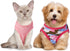 9 Pieces Printed Pet Shirts, Cute Dog T Shirts for Summer, Soft Breathable Sweatshirt for Small Medium Dogs