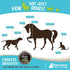 Raw Paws 4-Ounce Wrinkle & Skin Balm for Dogs, Natural Paste for Bulldogs, Dog Cream for Skin Fold Care