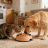 10.6 oz Jungle Calling Soft Chicken Treats for Dog and Cat, Natural Grain Free Chewy Food Snacks for Training Rewards