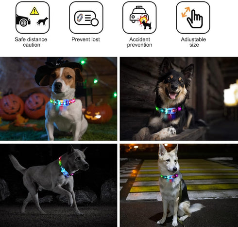 2 Pack Light Up Dog Collars, LED Rechargeable Waterproof Buckle Glow Collar for Medium Large Dogs, Neck 14.17-24.8"
