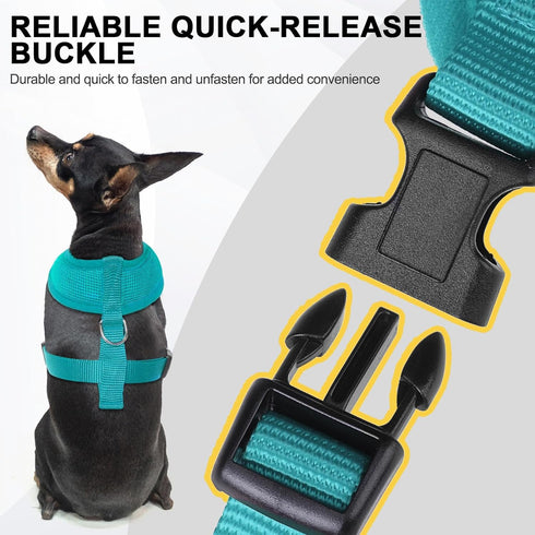 BINGPET No Pull Dog Harness, All Weather Mesh Step-in Vest for Small Dogs, Breathable Mesh Puppy & Cat Harness