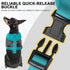 BINGPET No Pull Dog Harness, All Weather Mesh Step-in Vest for Small Dogs, Breathable Mesh Puppy & Cat Harness