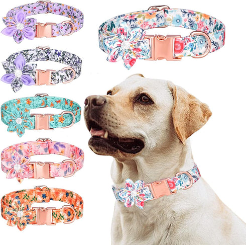 Dog Collar with Rhinestone Flower, Cute Floral Pattern for Female Dogs, Detachable Rhinestone Flower, Purple Flowers, M