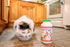 Fresh Digest Daily Digestive Aid and Immune Support Supplement for Cats, 100g/3.5oz, Natural Prebiotic and Enzyme Powder
