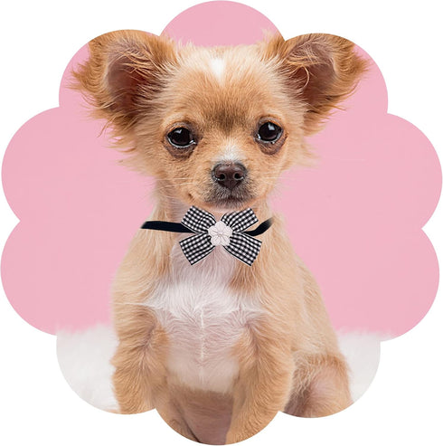 PET SHOW Adjustable Cute Dog Bow Ties Collar for Small Dogs Puppy Cats Bowties Neckties Pack of 50 Assorted Randomly