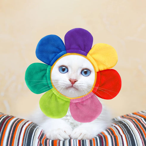 5 Pieces Cat Hat Costume: Cute Pet Hat with Ears, Bunny Rabbit Hat, Lion Mane Cap, Adjustable Birthday Hat