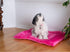 Armarkat Pet Bed Mat, Pink, 27-Inch by 19-Inch by 2.5-Inch M01-Medium