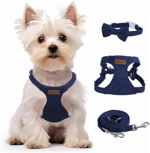 Dog Harness and Leash Set, XS No Pull Adjustable Puppy Harness with Denim Blue Leash and Collar for Small Dogs