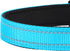 Reflective Dog Collar, Adjustable Soft Neoprene Padded Nylon Collars with Buckle for Large Dogs, Sky Blue, L