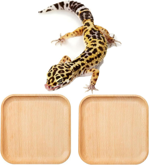 LYYZLFLDM 2 Pcs Leopard Gecko Potty Pad, Beech Crested Gecko Latrine Pad, Portable