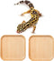 LYYZLFLDM 2 Pcs Leopard Gecko Potty Pad, Beech Crested Gecko Latrine Pad, Portable