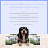 Premium Elk Antlers for Large Dogs by Good Trouble Pets - All-Natural Shed Antler Chews for Dental Health & Calming