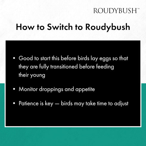 3 (5lb) Roudybush Formula Baby Bird Food - Hand feeding Baby Bird Formula for Newborn Psittacines & Squabs
