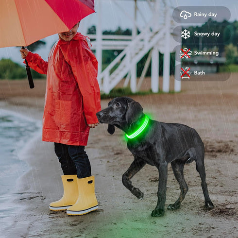 Light Up Dog Collars - Rechargeable Reflective LED Glow Dark Collar for Small, Medium, and Large Dogs, Adjustable