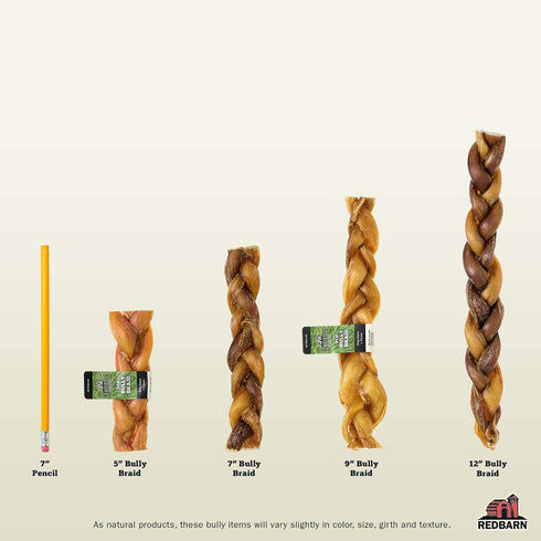 Redbarn 7" Braided Bully Sticks for Dogs - Natural, Grain-Free, Long-Lasting Dental Chews Sourced from Free-Range,