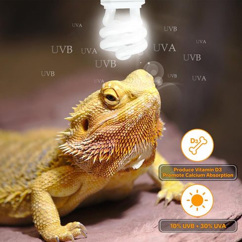 Lucky HERP UVA UVB Reptile Light 10.0, 15W Desert UVB 150 Compact Fluorescent Lamp for Reptiles