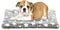 Dog Bed Mat, Reversible Crate Pad for Medium Small Dogs, Portable Soft Pet Bed Mat, Machine Washable (24-inch)