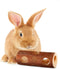 SunGrow Rabbit Log Chew, 8 Inches, 2-in-1 Hay Feeder and Molar Bunny Log Chew for Small Animals