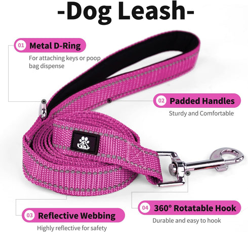 IVY&LANE Reflective Dog Collar and Leash Set, Breathable Nylon Pet Collar, Adjustable Neoprene Padded for Small Medium