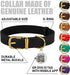 BRONZEDOG Leather Dog Collar with QR ID Tag, Basic Pet Collars for Small Dogs, Black & Gold Buckle