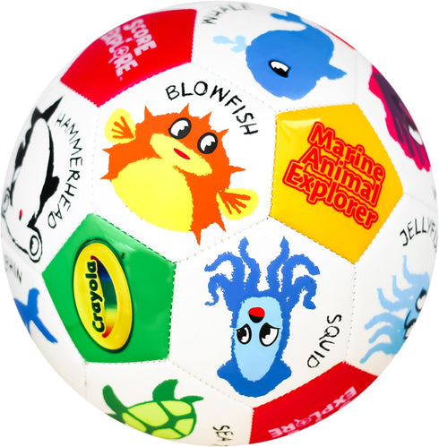 3 Crayola Official Soccer Ball - Unisex Kids - Marine Size