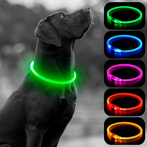 HIGO Light Up Dog Collars, USB Rechargeable LED Dog Collar, High Visibility Puppy Collar for Night Walking (Green)