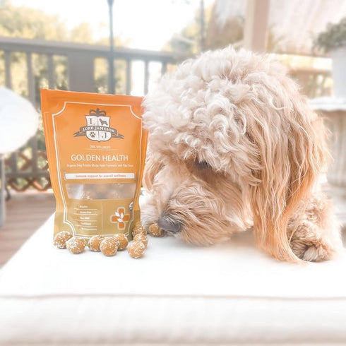 Golden Health Organic Dog Treats, Organic Dog Treats Made with Tumeric and Flax Seed, 6 oz Bag