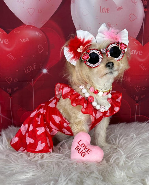 Fitwarm Valentines Day Sweet Heart Dog Dress, Holiday Outfit for Small Dogs Girl, Pet Cat Apparel, Red, Pink, Small