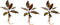Generic Cryptocoryne wendtii Red Live Aquarium Plants, 3 Pack, Indoor Aquatic Plant