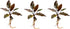 Generic Cryptocoryne wendtii Red Live Aquarium Plants, 3 Pack, Indoor Aquatic Plant