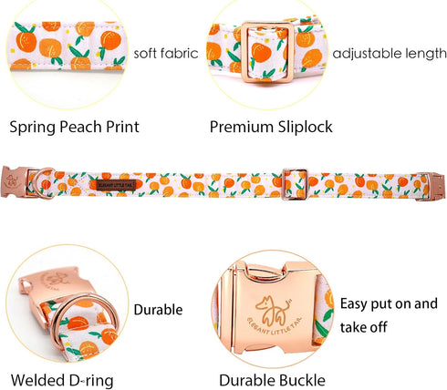Elegant little tail Easter Dog Collar, Adjustable Peach Print for Small Dogs, Orange Collar for Girl or Boy