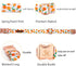 Elegant little tail Easter Dog Collar, Adjustable Peach Print for Small Dogs, Orange Collar for Girl or Boy