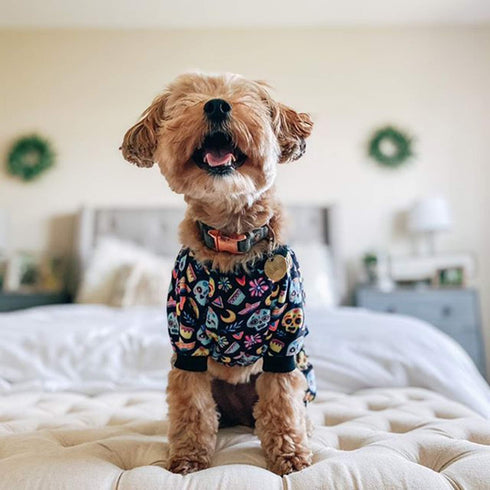 CuteBone Small Dogs Outfit - Soft Puppy Onesies Pjs Dog Pajamas Pet Coat for All Seasons (P73S)