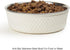 PetRageous Kona Stainless Steel Dog Bowl - 6.5-Cup Non-Slip, Dishwasher Safe, 8.5-Inch Diameter for Large Dogs