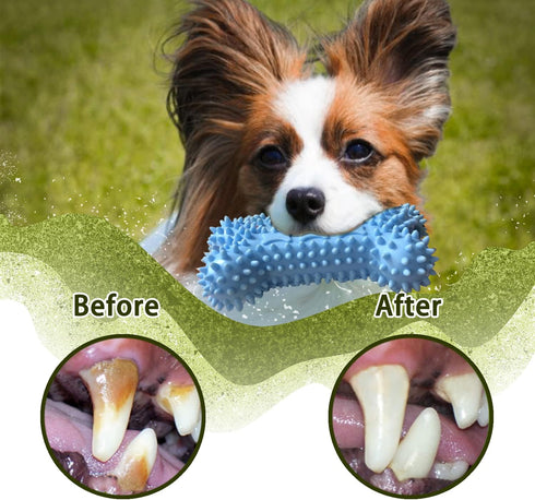 Puppy Toys for Teething, Dog Chew Toys for Small & Medium Breeds, Durable All-Natural Rubber and Cotton, 4-Pack