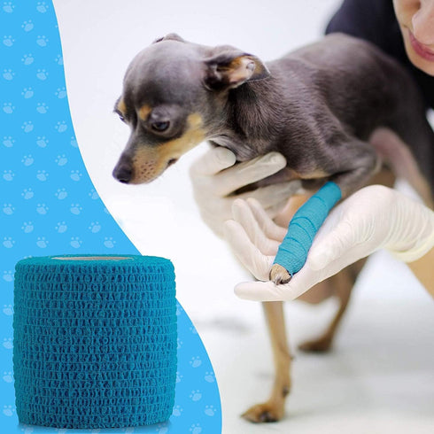Vet Wrap - Pack of 6, 2 inch x 5 Yard Rolls, Self Adherent Wrap Cohesive Compression Bandage for Dogs, Cats, Horses