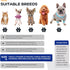 Dog Shoes Dog Boots & Paw Protector, Anti-Slip Sole Winter Dog Booties with Reflective Straps, 4PCS Blue for Small