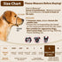 Crazy Felix Nylon Dog Muzzle for Small Medium Large Dogs, Air Mesh Breathable Pet Mouth Guard for Anti-Biting (L, Grey)