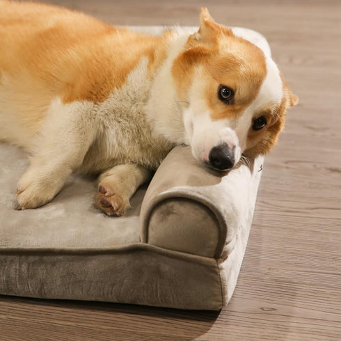 Amazon Basics Foam Living Room Couch Dog Pet Bed, X-Large, 44 x 35 x 8 inches, Removable Cover, Brown