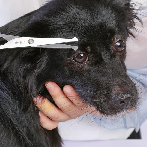 Professional Pet Grooming Scissors with Round Tip, Stainless Steel Dog Eye Cutter, Size 6.70" x 2.6" x 0.43" by Chibuy