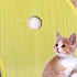 Multifunctional Cat Crinkle Mat - Safe Sisal Play & Sleep Area