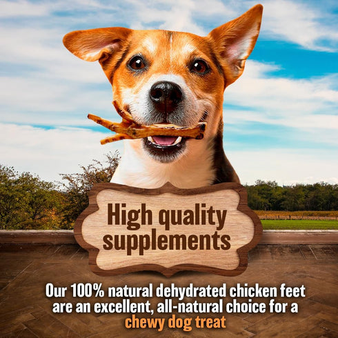 The Primal Theory 100% 24 Count Dehydrated Chicken Feet for Dogs - Single Ingredient Dog Chews - Made in USA